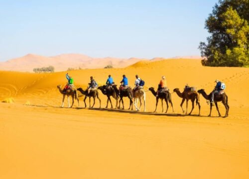 4-Day Marrakech Desert Tour