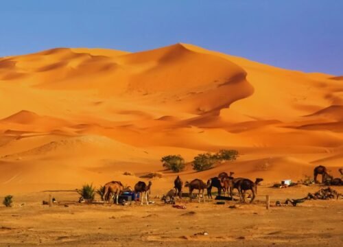 4-Day Desert Tour Fes to Marrakech