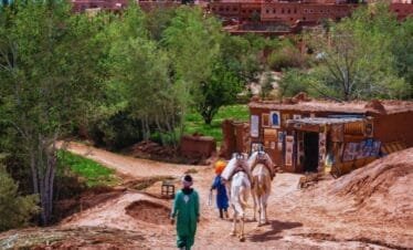 Marrakech to fes desert tour 3 days