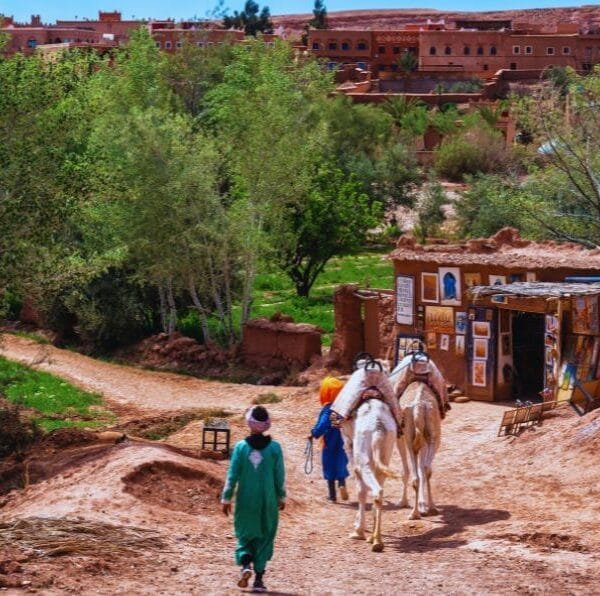 Marrakech to fes desert tour 3 days