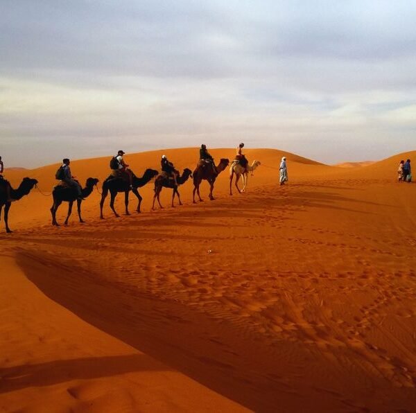 marrakech to merzouga desert tour 3 days