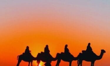 Agafay Desert Camel Ride and Dinner from Marrakech