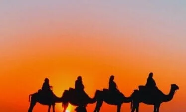 Agafay Desert Camel Ride and Dinner from Marrakech