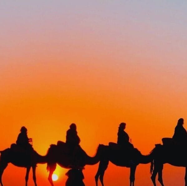 Agafay Desert Camel Ride and Dinner from Marrakech