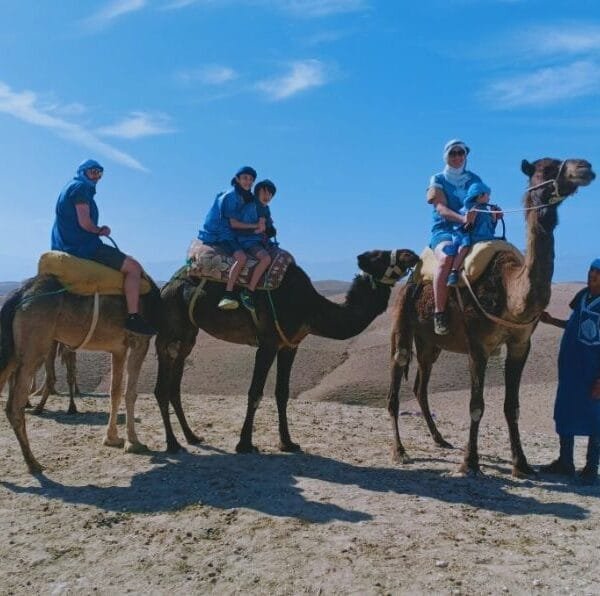 Agafay Desert Camel Ride and Dinner from Marrakech