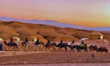 Agafay Desert Camel Ride and Dinner from Marrakech