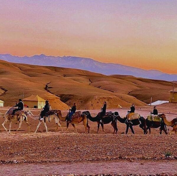 Agafay Desert Camel Ride and Dinner from Marrakech