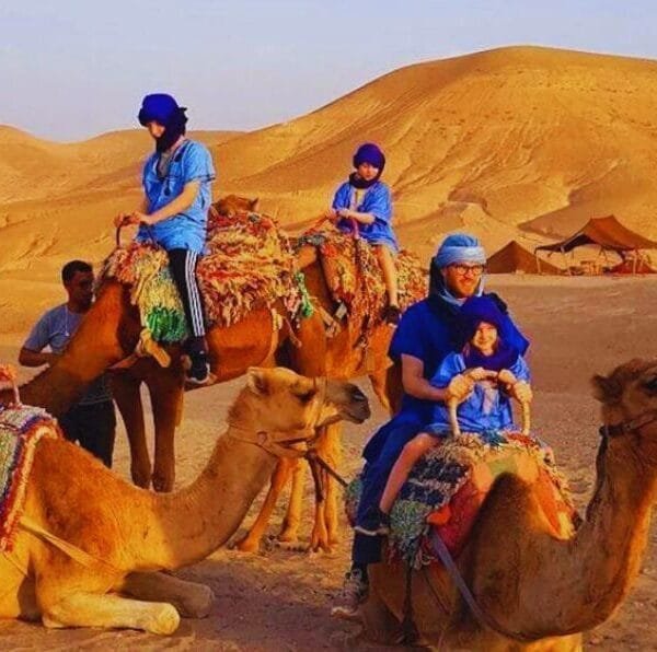 Agafay Desert Camel Ride and Dinner from Marrakech
