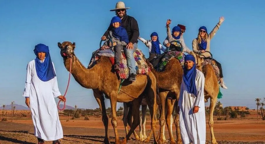 Marrakech Camel Ride in the Palmeraie Oasis