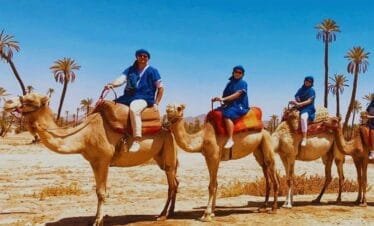 Marrakech Camel Ride in the Palmeraie Oasis