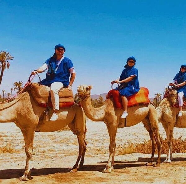 Marrakech Camel Ride in the Palmeraie Oasis