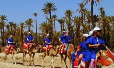 Marrakech Camel Ride in the Palmeraie Oasis