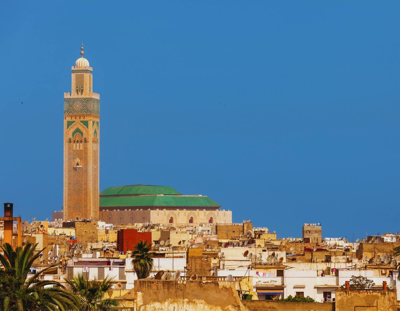 casablanca guided tours