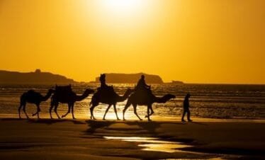 essaouira day trip from marrakech