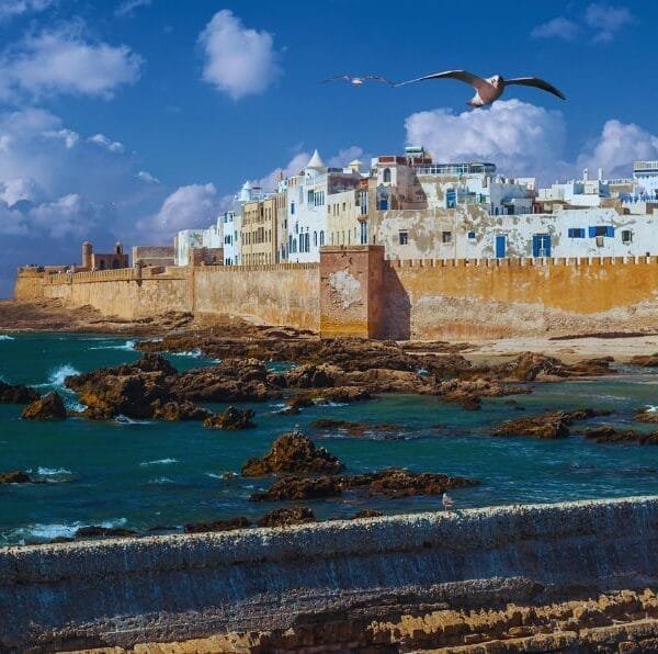 essaouira day trip from marrakech