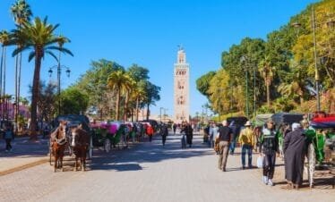 marrakech guided tour