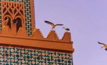 marrakech guided tour