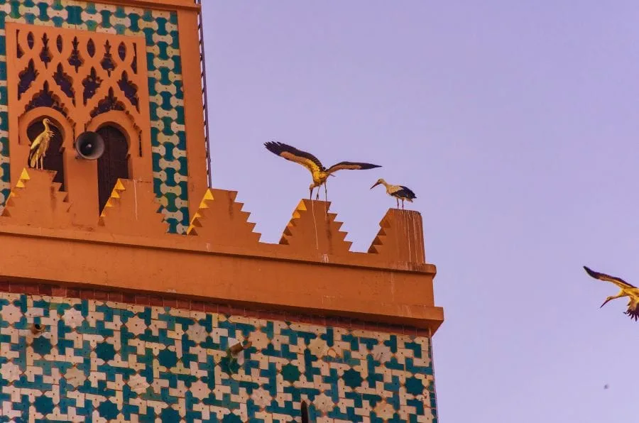 marrakech guided tour