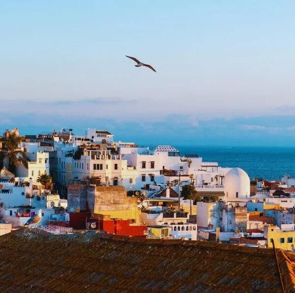Morocco day trip from Marbella