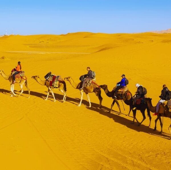 4-day desert tour from fes