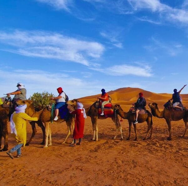 5-Day Casablanca desert tour