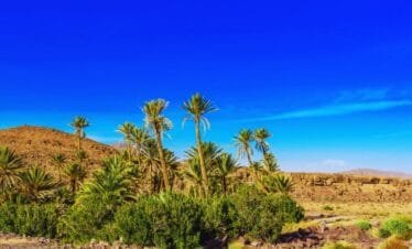 5-Day Desert Tour from Marrakech