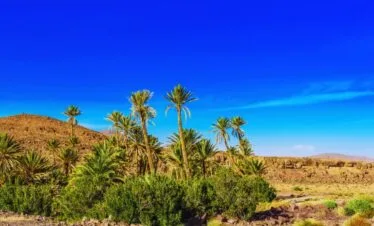 5-Day Desert Tour from Marrakech
