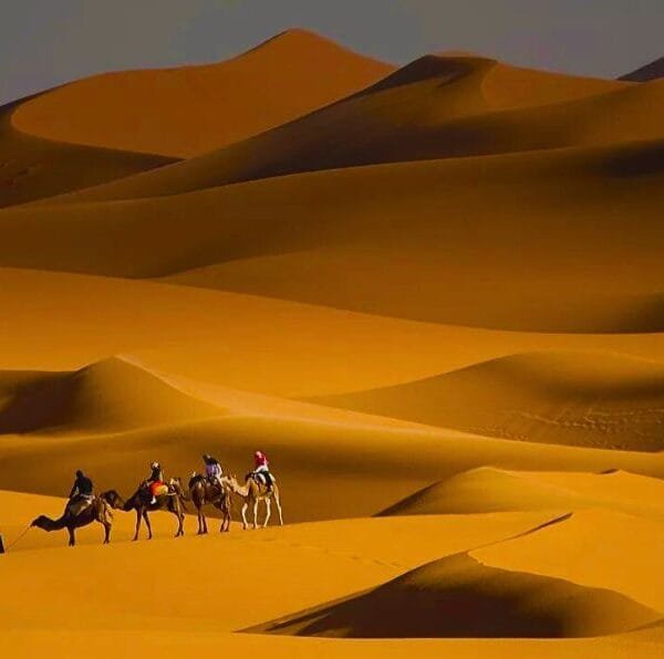 6-day morocco desert tour from casablanca