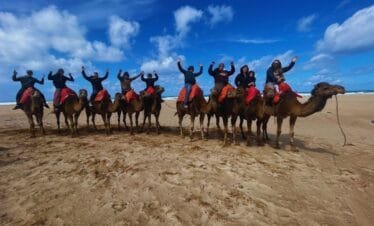 Camel Ride in Tangier