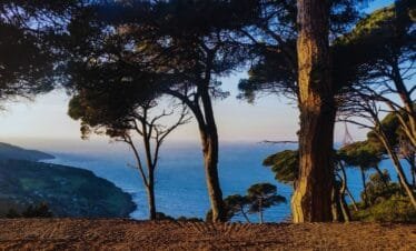 Camel Ride in Tangier