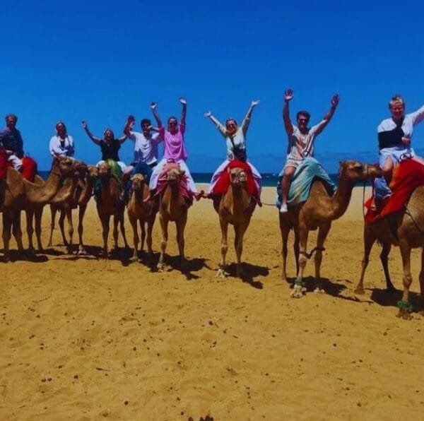 Camel Ride in Tangier