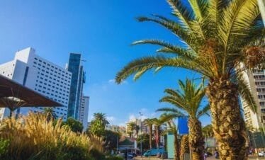 casablanca city tour