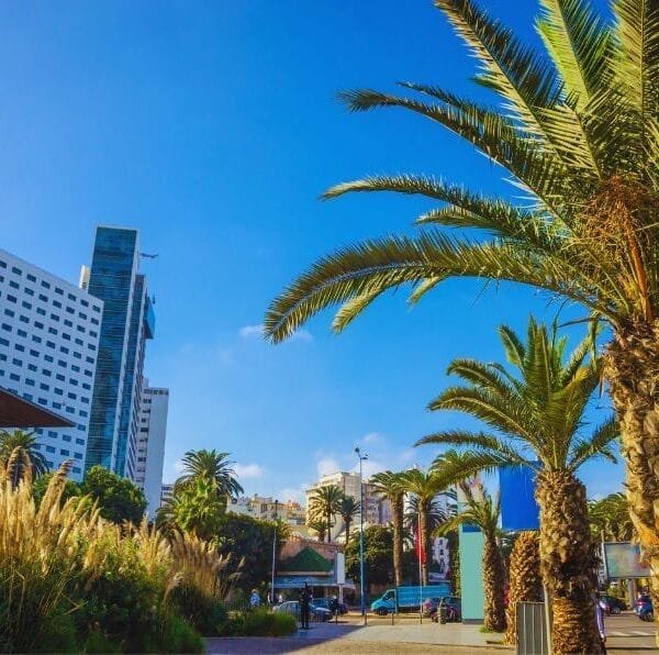 casablanca city tour