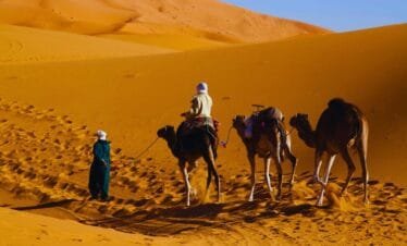 4 day desert tour from fes