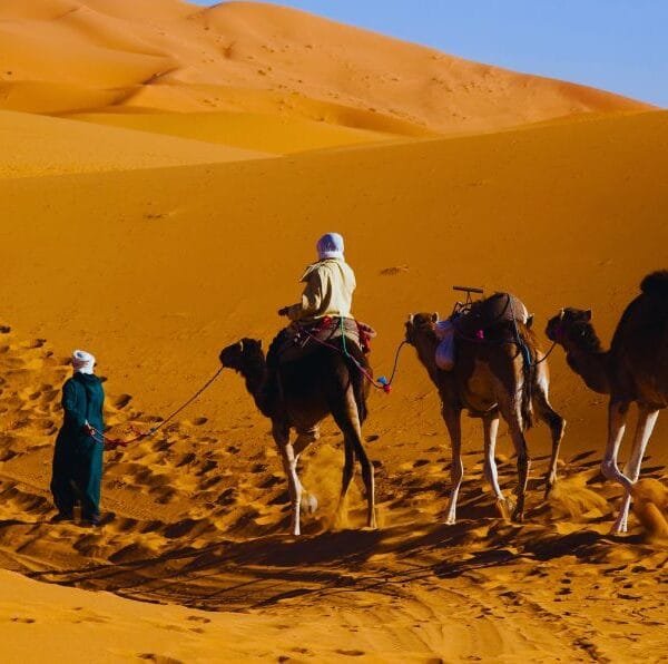 4 day desert tour from fes