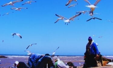 essaouira city tour