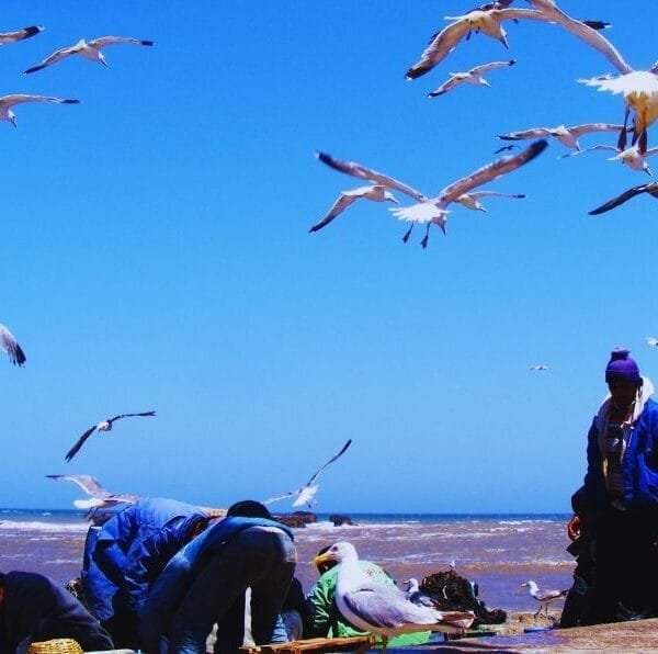 essaouira city tour