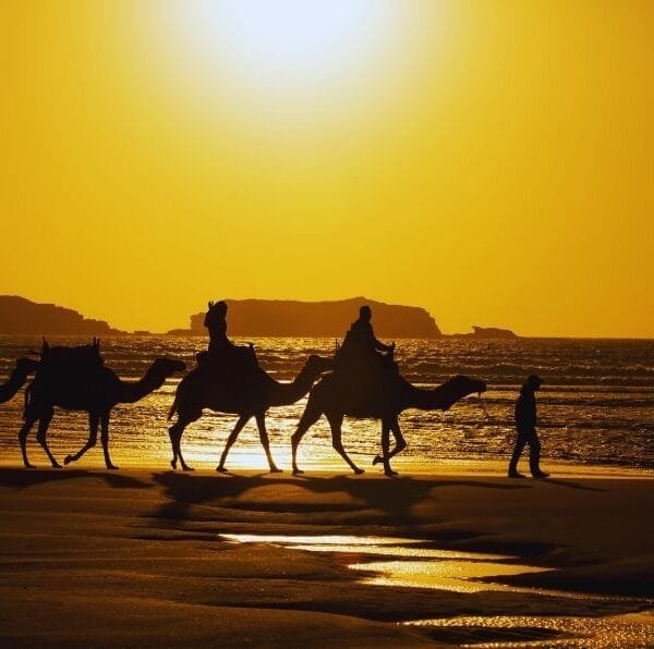 essaouira city tour