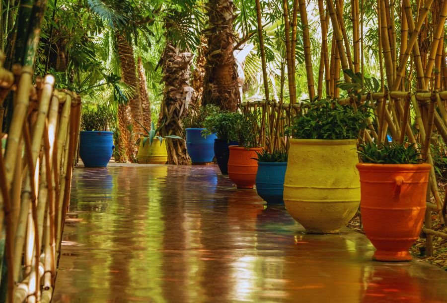 majorelle garden in marrakech