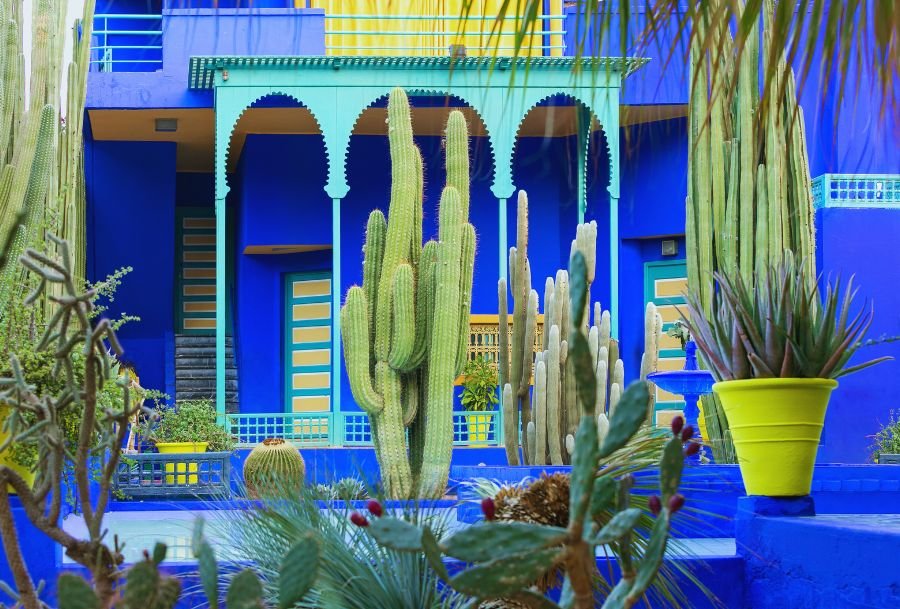 majorelle garden in marrakech