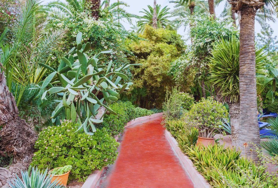 majorelle garden in marrakech