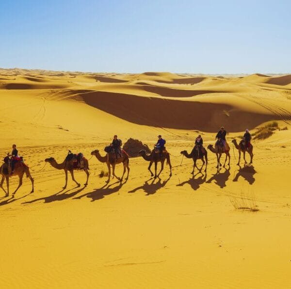 marrakech to fes desert tour 2 days