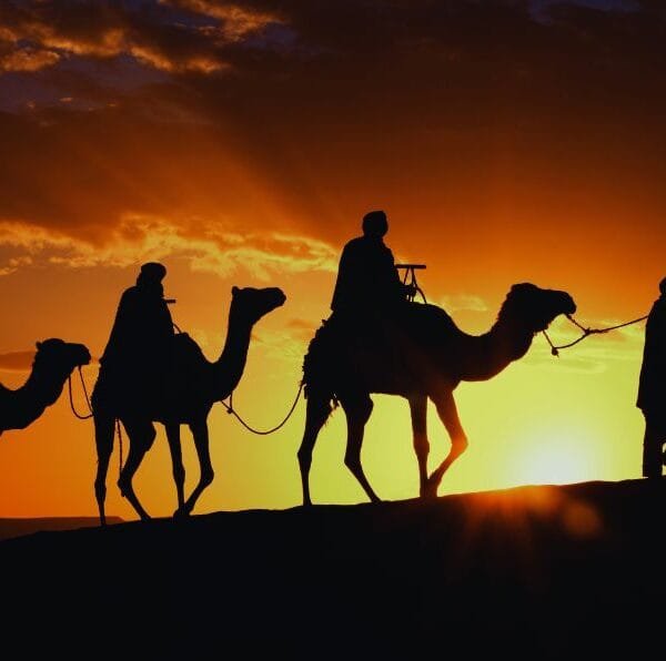 sahara desert tour from fes