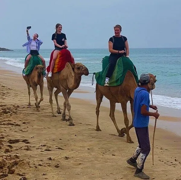 Marbella to Morocco tour 2 days