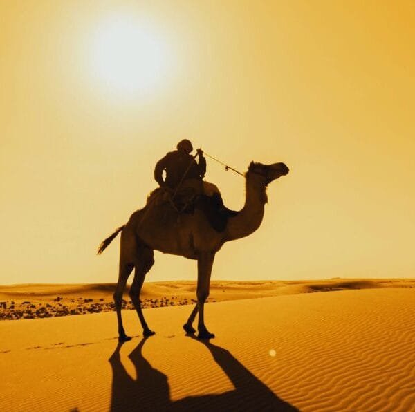 Marrakech to Chefchaouen Desert Tour 5 Days