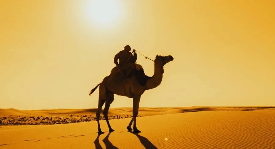 Marrakech to Chefchaouen Desert Tour 5 Days