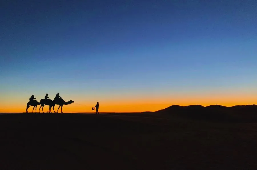 Marrakech to Zagora Desert Tour 2 Days