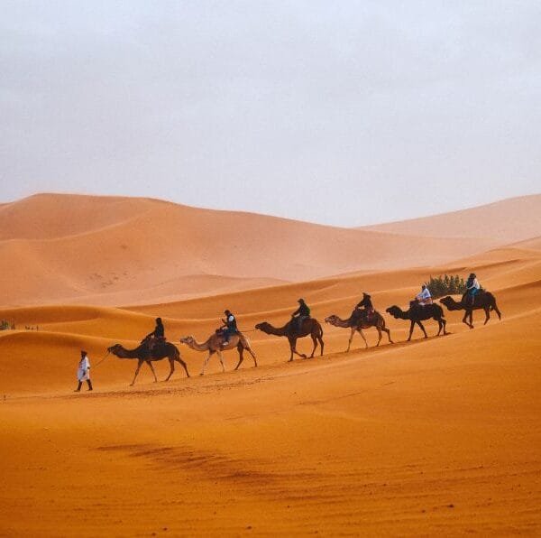 Marrakech to fes desert tour 4 days