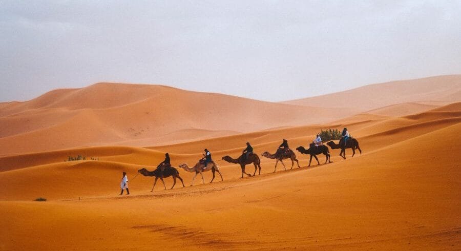 Marrakech to fes desert tour 4 days