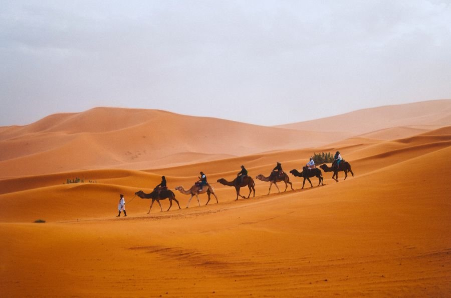 Marrakech to fes desert tour 4 days